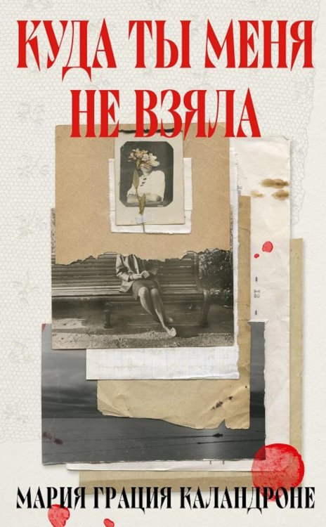 Обложка книги «Куда ты меня не взяла» — Каландроне Мария Грация, ISBN 9785605179153