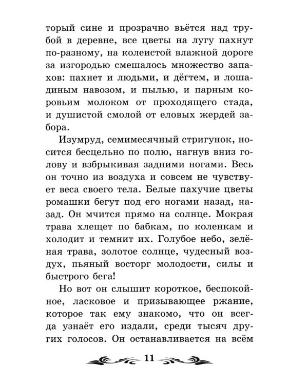 Дополнительное изображение книги «Изумруд: рассказы»