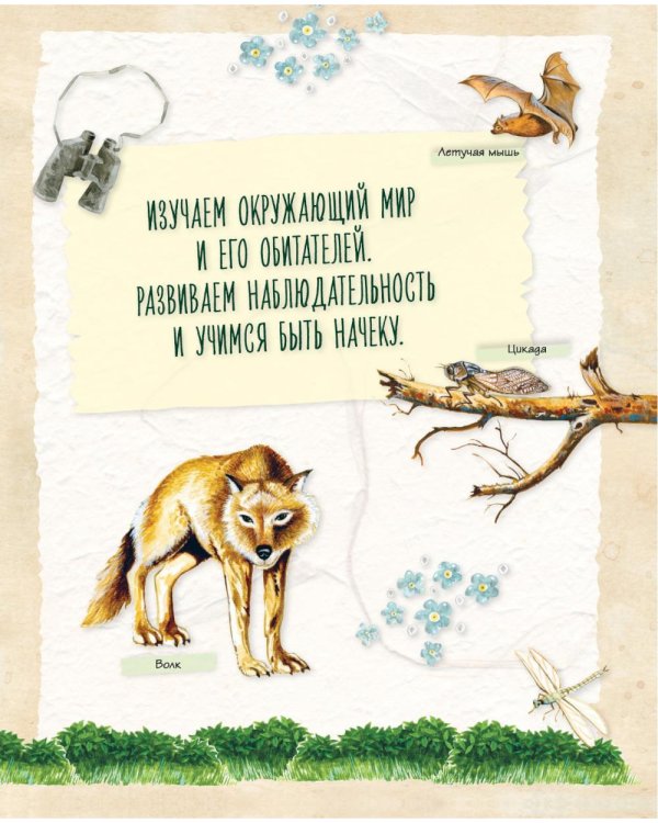 Дополнительное изображение книги «Большой подарок для девочки. Энциклопедия для настоящих девчонок»