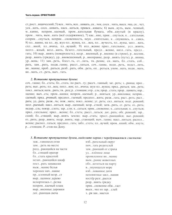 Русский язык. Правила и практикум: Учебное пособие