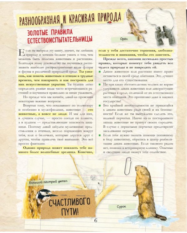 Дополнительное изображение книги «Большой подарок для девочки. Энциклопедия для настоящих девчонок»