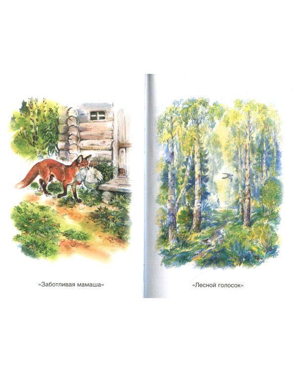 Рассказы о природе