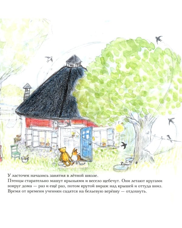 Лето мишки Бруно