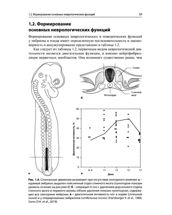 Движения детей раннего возраста