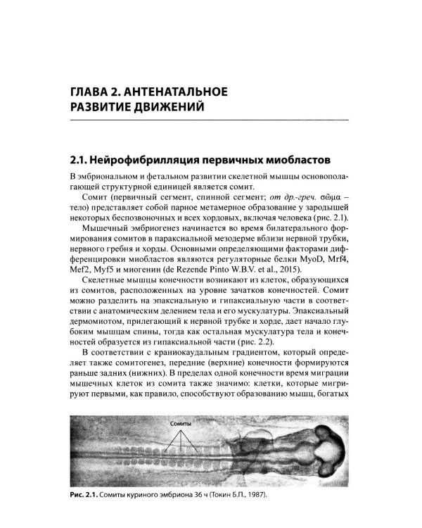 Движения детей раннего возраста