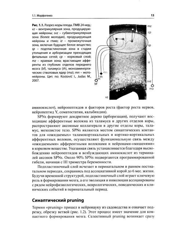 Движения детей раннего возраста