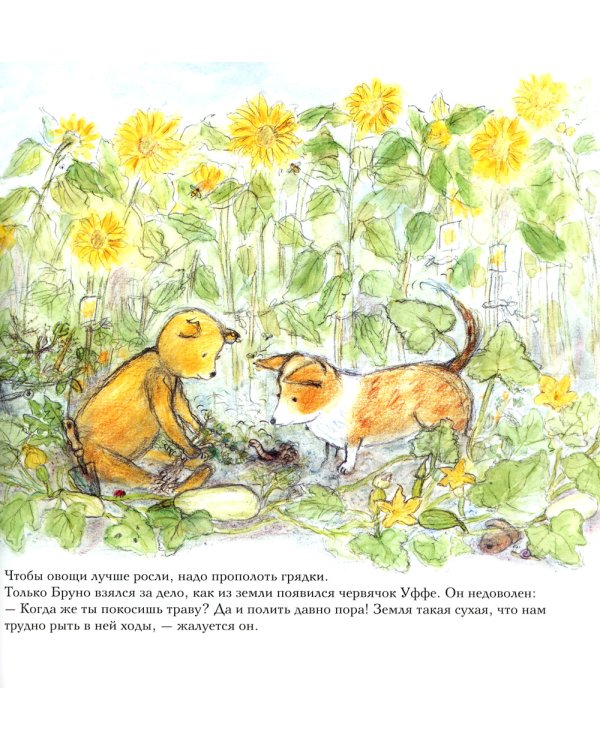 Лето мишки Бруно