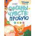 Органы чувств: пробую