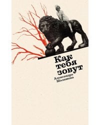 Как тебя зовут: роман