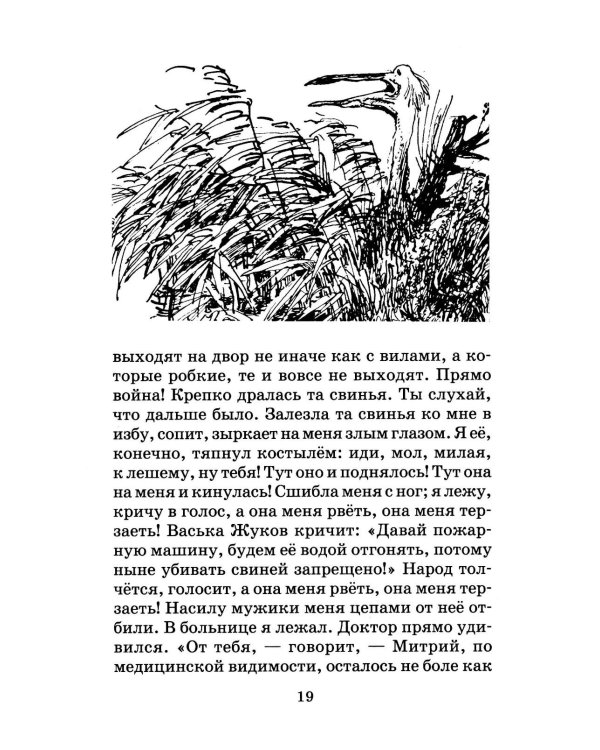 Заячьи лапы: рассказы и сказки