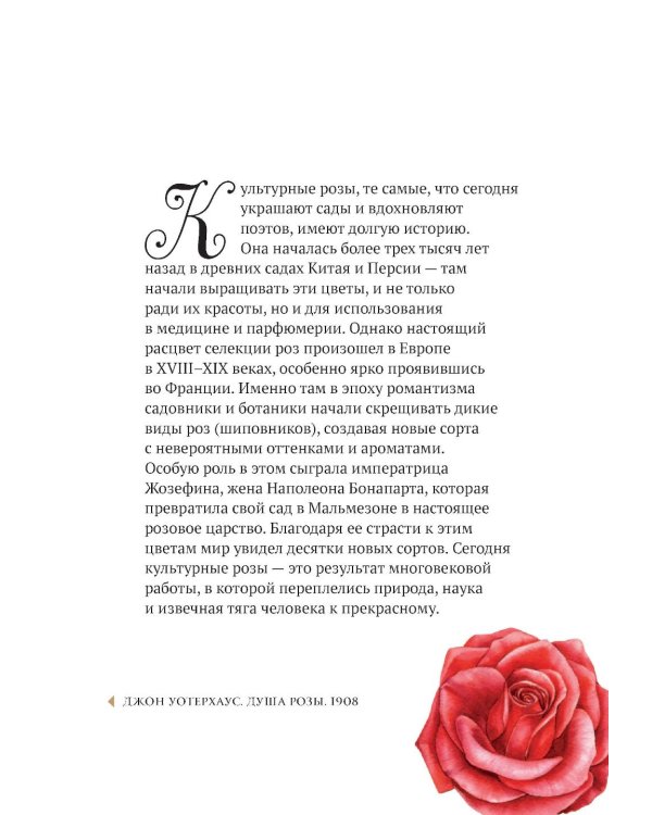 Цветы в искусстве. Воспевание красоты