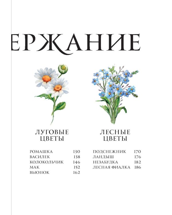 Цветы в искусстве. Воспевание красоты