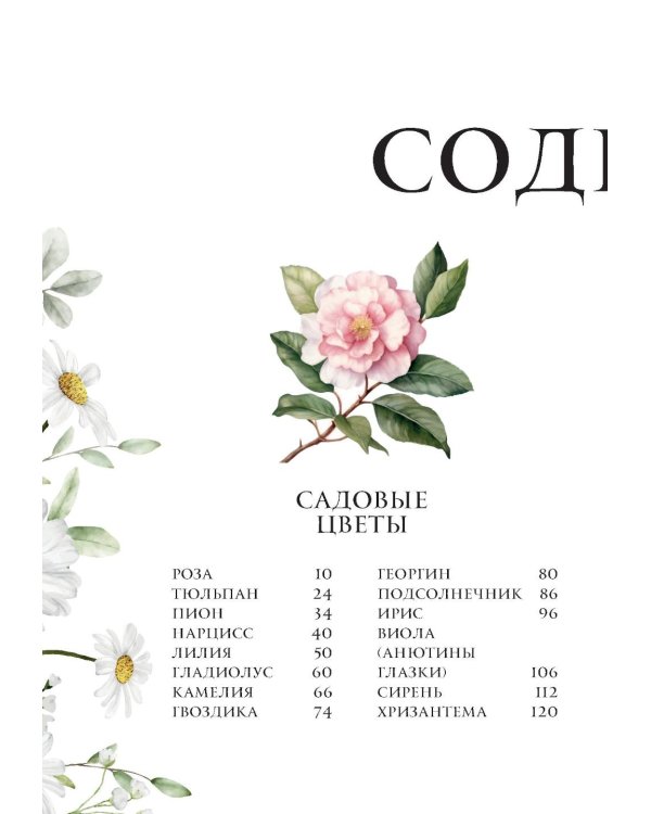 Цветы в искусстве. Воспевание красоты