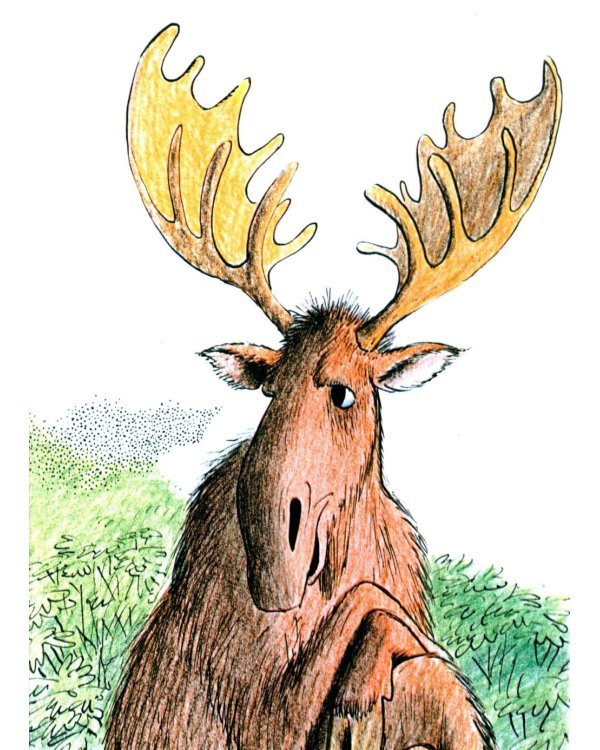 Лев по имени Илай: сказочные истории