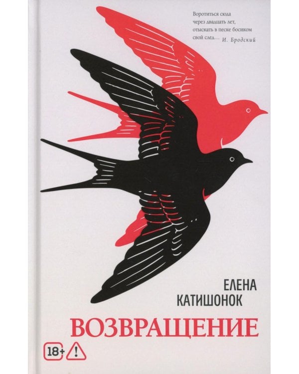 Возвращение: роман