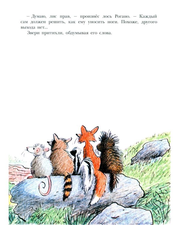 Лев по имени Илай: сказочные истории