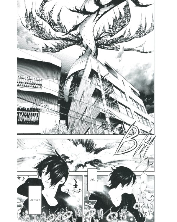 Истории Монстров. Т. 13: манга