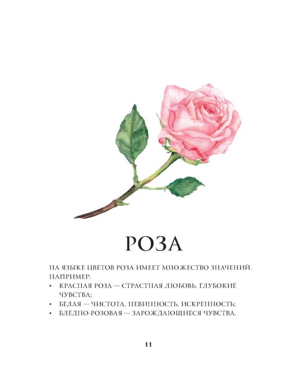 Цветы в искусстве. Воспевание красоты