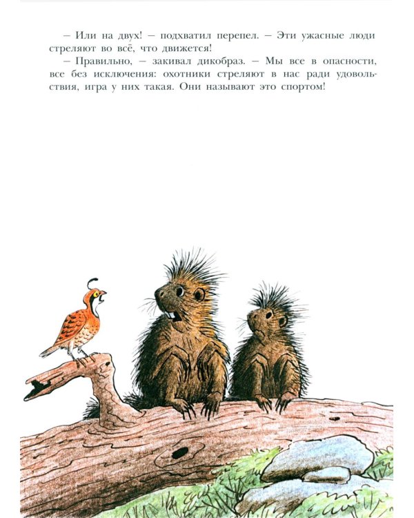 Лев по имени Илай: сказочные истории