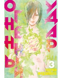 Огненный удар 3. Кн. 5-6: манга