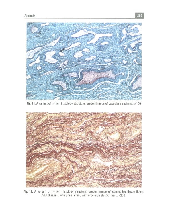 Forensic Medicine. Textbook
