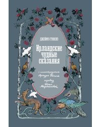 Ирландские чудные сказания