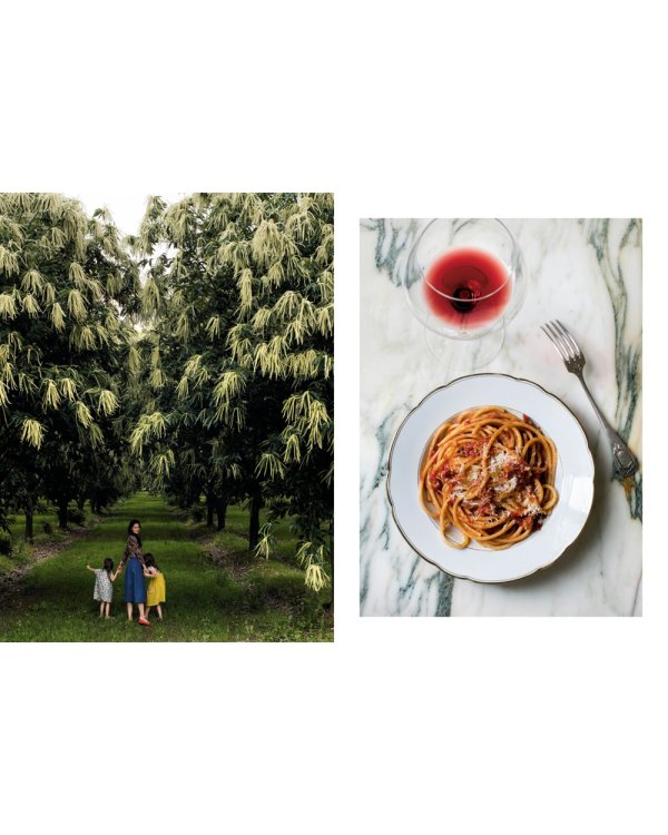 Итальянская классика. Рецепты и вкусные традиции от Турина до Сицилии