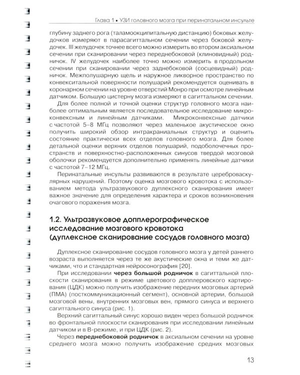 Ультразвуковая диагностика перинатального инсульта: Учебное пособие