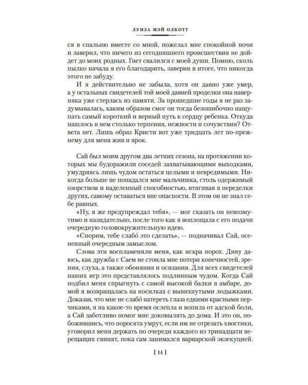 Лоскутный мешочек тетушки Джо: сборник рассказов