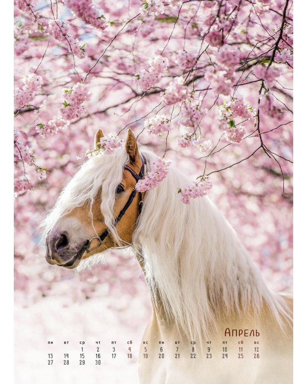 Horses Dreaming (Сны о лошадях). Календарь 2026