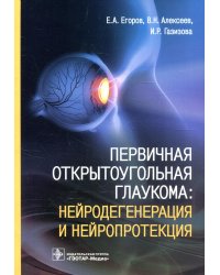 Первичная открытоугольная глаукома. Нейродегенерация и нейропротекция