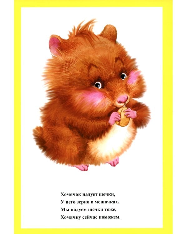 Веселая артикуляционная гимнастика (5-7 лет) (комплект из 2-х книг)