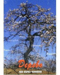 Дерево как образ человека: метафорические карты (набор из 112 карточек и инструкции)