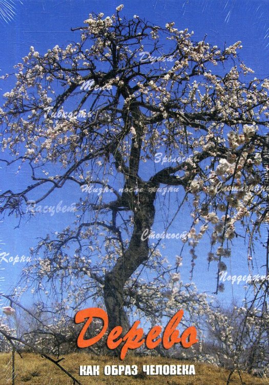 Дерево как образ человека: метафорические карты (набор из 112 карточек и инструкции)