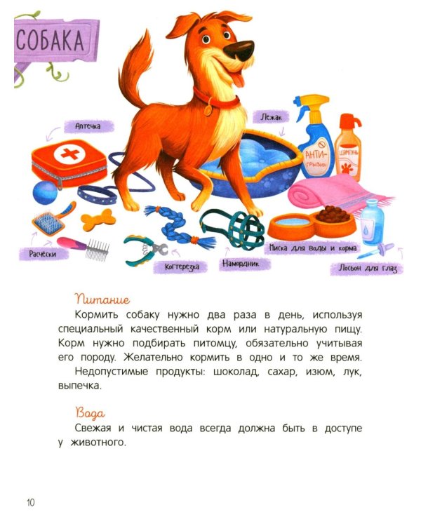 Дополнительное изображение книги «Энциклопедия домашних животных для малышей в сказках»