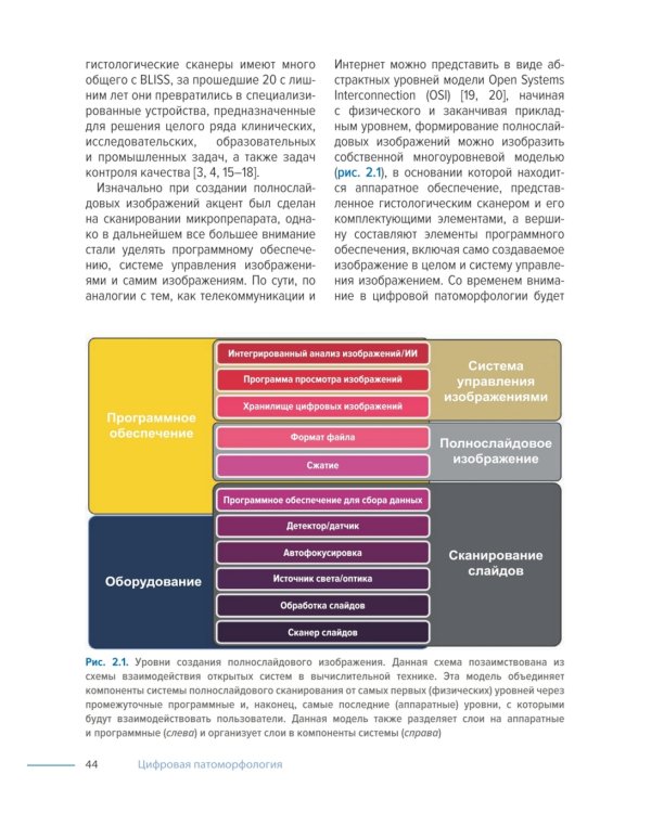 Цифровая патоморфология