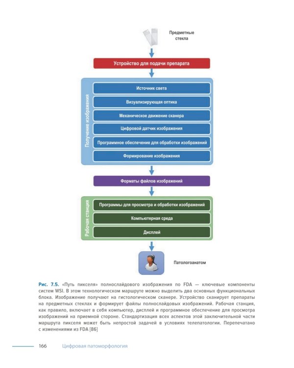 Цифровая патоморфология
