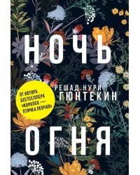 Ночь огня: роман. (обл.)