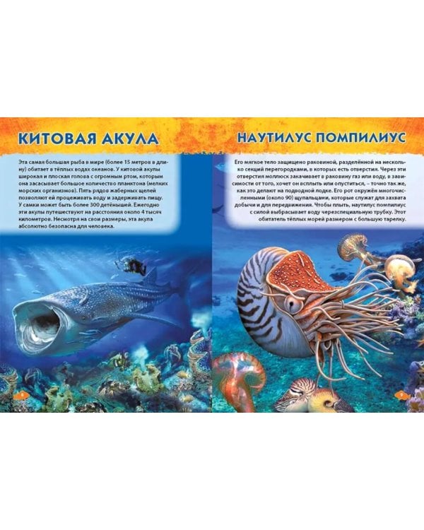 Дополнительное изображение книги «Подводный мир, Динозавры, Животные мира. Первая энциклопедия дошкольника (комплект из 3-х книг)»