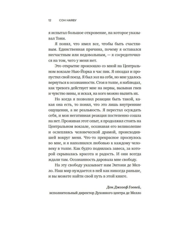 Сон наяву: Размышления, притчи, медитации