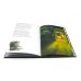 Суп синьора Лепрона