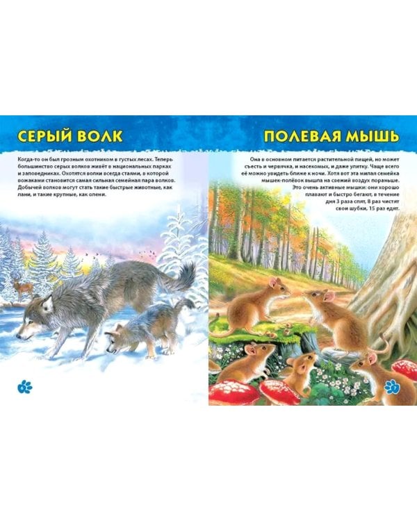 Дополнительное изображение книги «Подводный мир, Динозавры, Животные мира. Первая энциклопедия дошкольника (комплект из 3-х книг)»