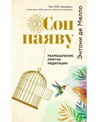 Сон наяву: Размышления, притчи, медитации