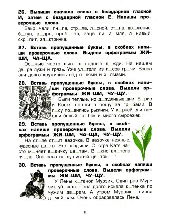 Русский язык. Сборник упражнений 3 кл. 36-е изд., стер