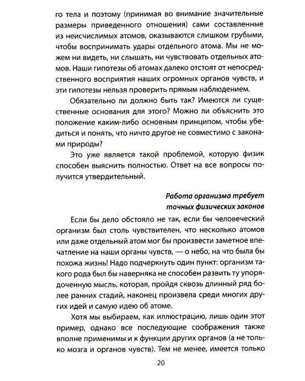 Квантовый кот вселенной