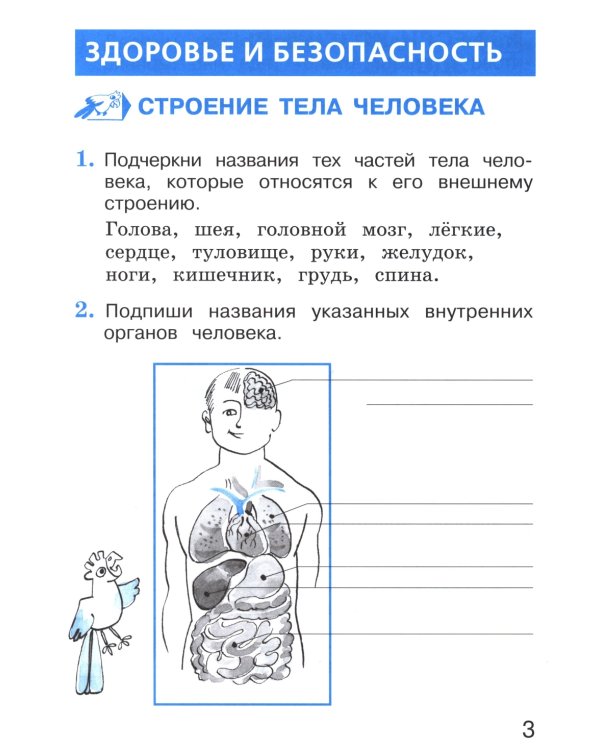 Окружающий мир. 2 кл. В 2-х ч. Ч. 2: Тетрадь для тренировки и самопроверки