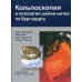 Кольпоскопия и патология шейки матки по Бургхардту