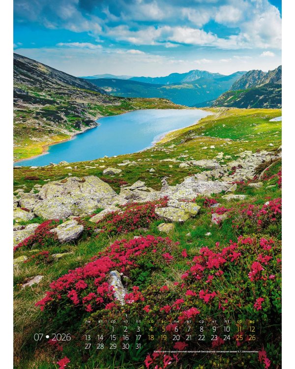 Заповедная Россия. Календарь 2026