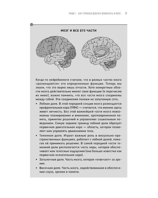 Странная девочка, которая влюбилась в мозг: Как знание нейробиологии помогает стать привлекательнее, счастливее и лучше