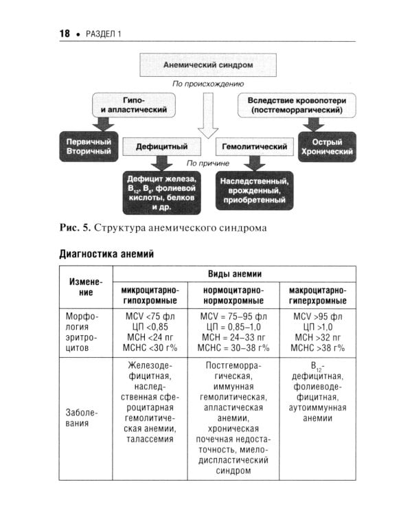 Лабораторные и функциональные исследования в практике педиатра. 6-е изд., испр. и доп.